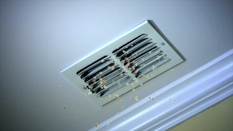 Best Ductwork Cleaning Services  in Tyler Run, PA